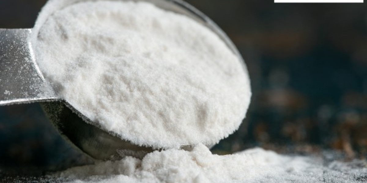 Sodium Polystyrene Sulfonate Powder Market Report 2025-2033: Trends, Opportunities, and Forecast