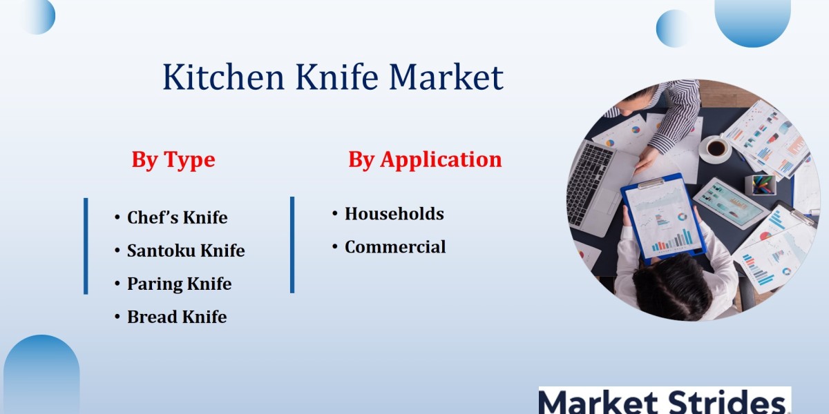 Key Kitchen Knife Market Industry Trends and Projections for Growth Through 2033