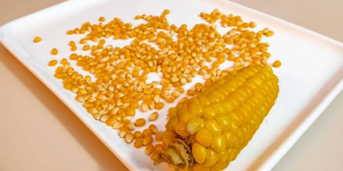 Regional and Global Perspectives on the Wet Grinding Corn Market (2025-2032)