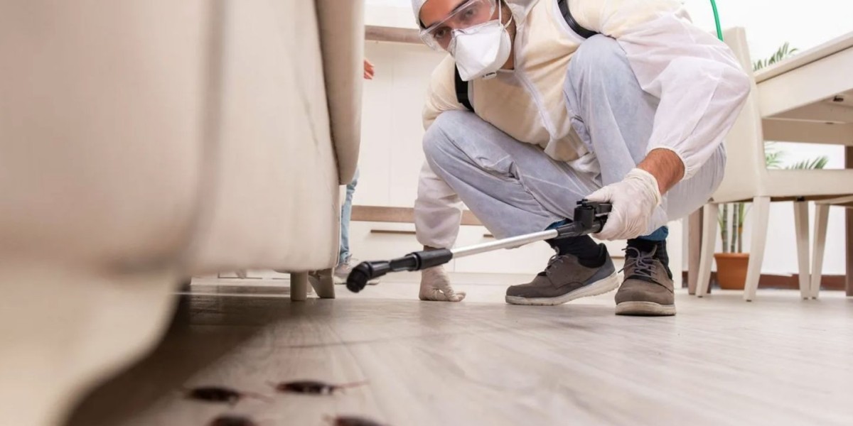 How To Keep Your Home Free From Unwanted Guests