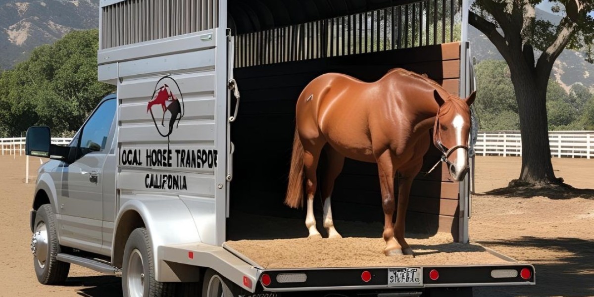 Expert Horse Hauling Services Across California