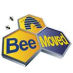Bee_Moved Profile Picture