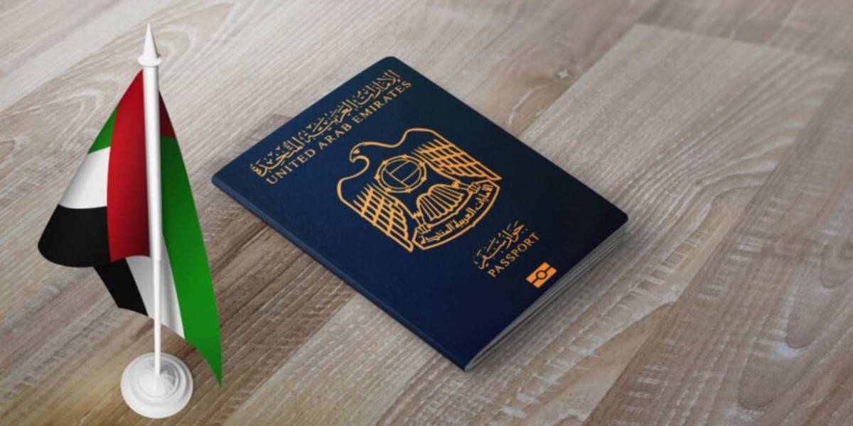 Study Opportunities in Georgia: A Growing Destination for UAE Students