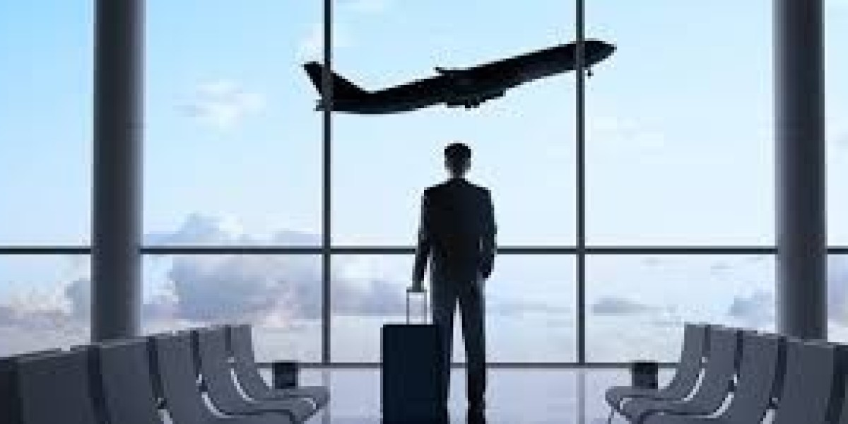 Global Business Travel Accident Insurance Market Report: Trends, Opportunities, and Forecast 2025–2031