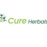 Hadia Batool Profile Picture