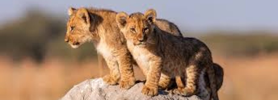 African Memorable Safaris Cover Image