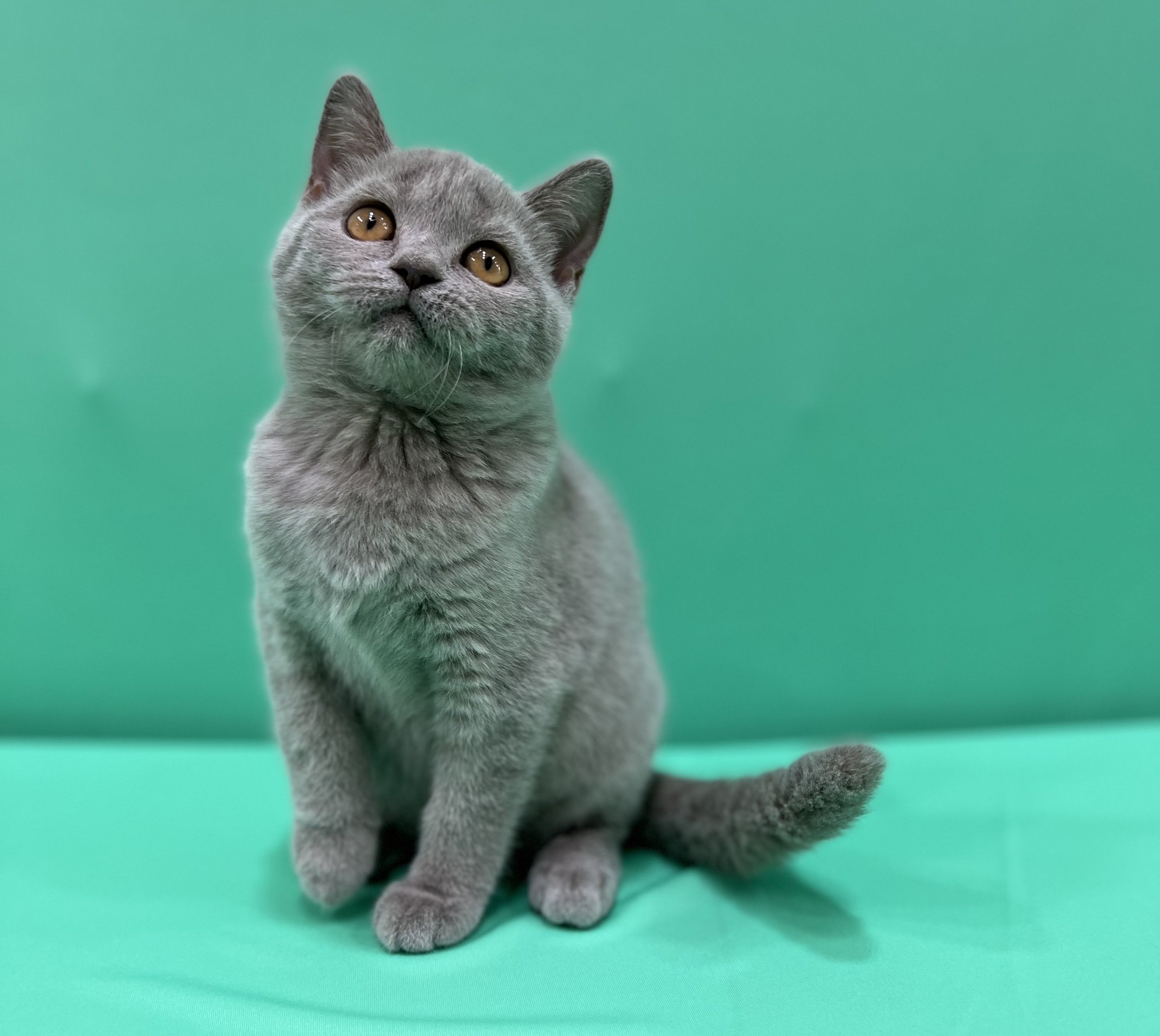 Best Of me Profile Picture