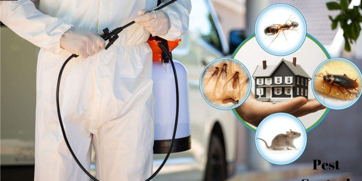 Do Pest Control Companies Really Spray Dangerous Chemicals? What to Expect & How to Choose the Right Help