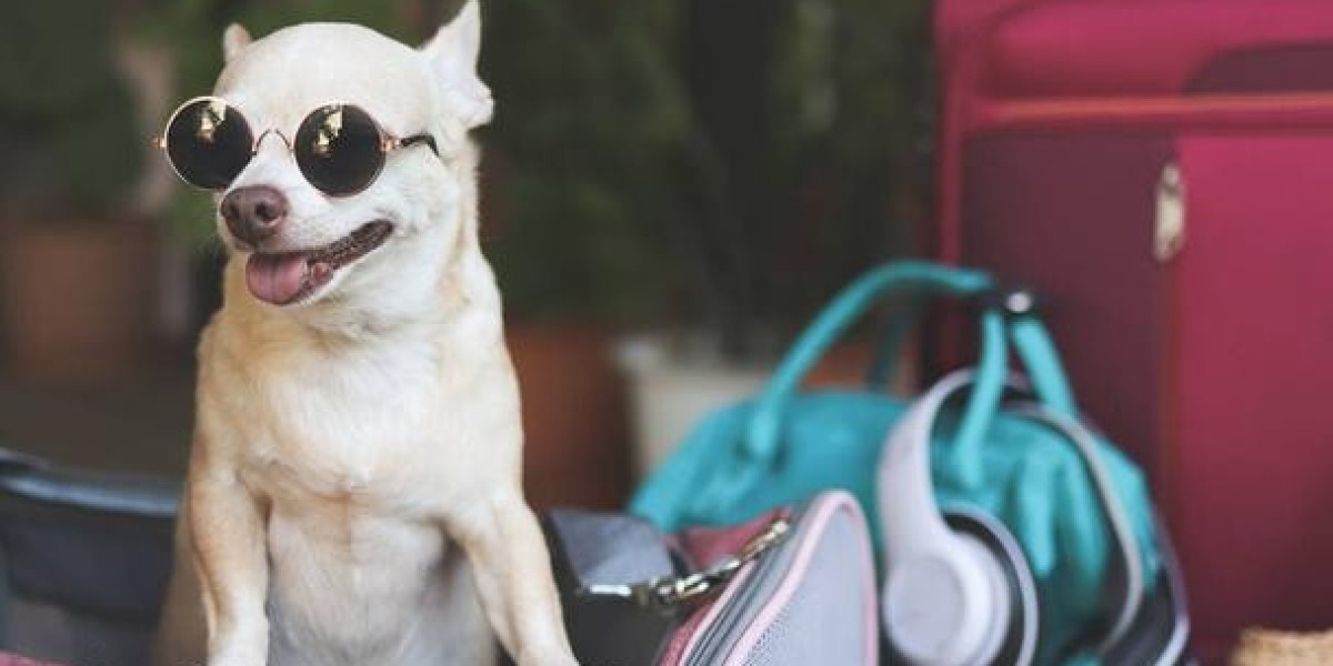 Why Every Pet Owner Needs a Stylish and Functional Dog Carrier Purse