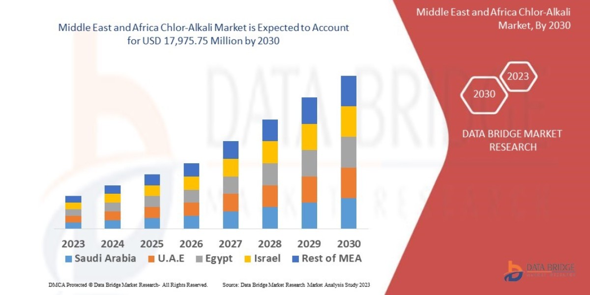 Middle East and Africa Chlor-Alkali Market Insights: Growth, Share, Value, Size, and Trends