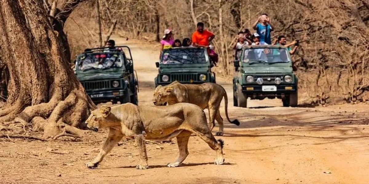 Family-Friendly Activities in Sasan Gir National Park