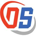 Dilijent System Profile Picture