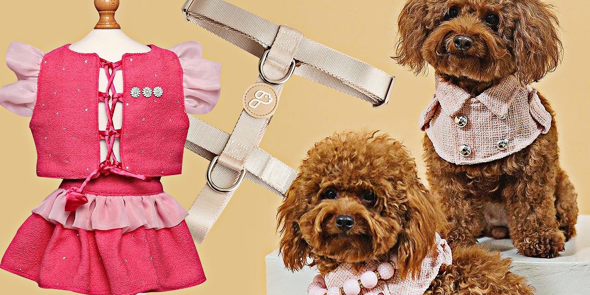 Top Pet Apparel Brands: Fashionable & Functional Outfits for Dogs and Cats