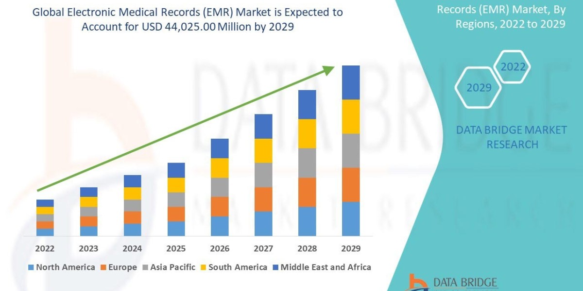 Middle East and Africa Electronic Medical Records (EMR) Market Industry Statistics: Growth, Share, Value, and Trends