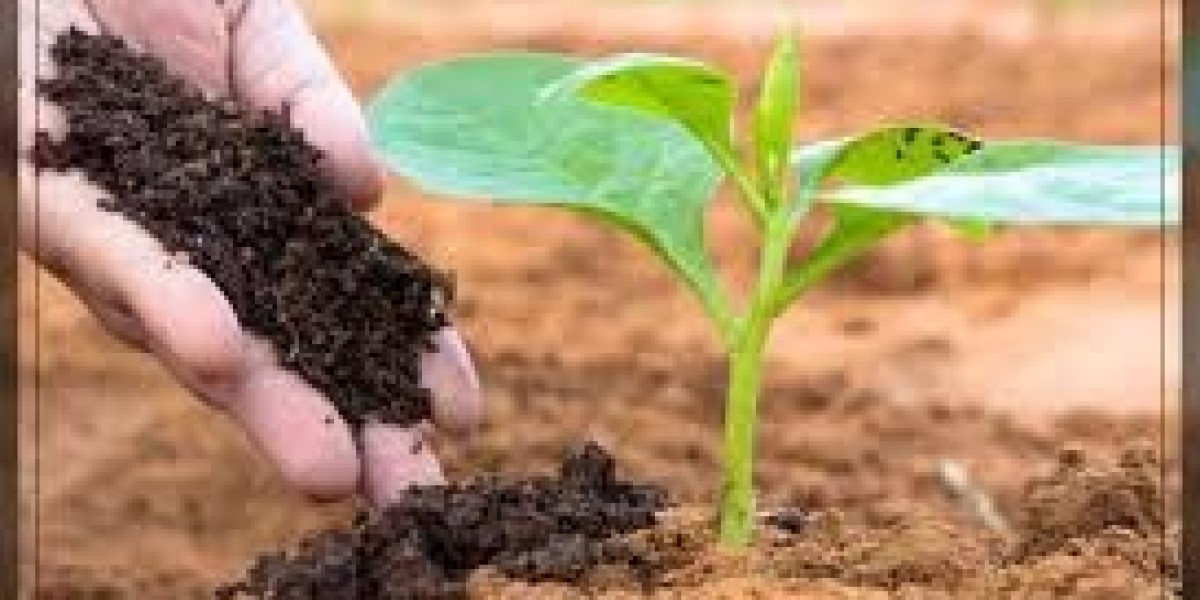 Global Soil Amendment and Conditioner Market Report: Trends, Opportunities, and Forecast 2025–2031
