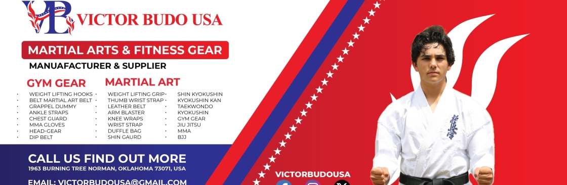 Victor Budo USA Cover Image