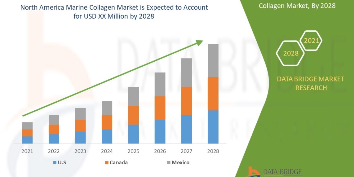North America Marine Collagen Market Growth Drivers: Share, Value, Size, and Insights