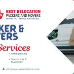 Sani Davil Profile Picture