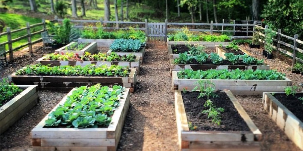 Garden Bed