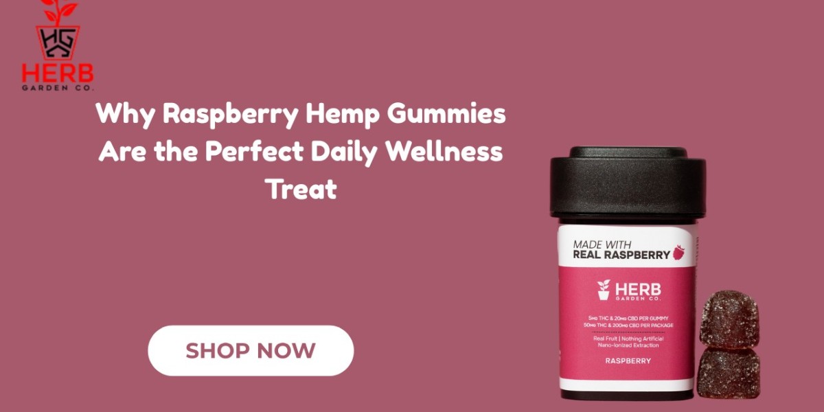 Why Raspberry Hemp Gummies Are the Perfect Daily Wellness Treat