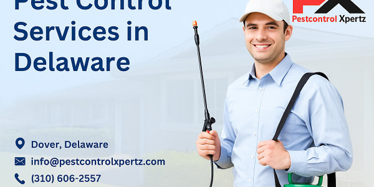 Top 5 Mistakes Homeowners Make with Spider Pest Control in Dover