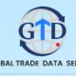 GTD SOLUTIONS LLC Profile Picture