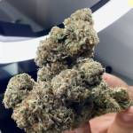 Lagunaleaf Dispensary Profile Picture