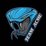 Team Acme Profile Picture