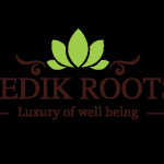 Vedikroots digital Profile Picture