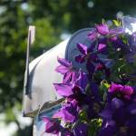 Robin Anthany Profile Picture