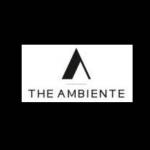 theambiente Ambiente Profile Picture