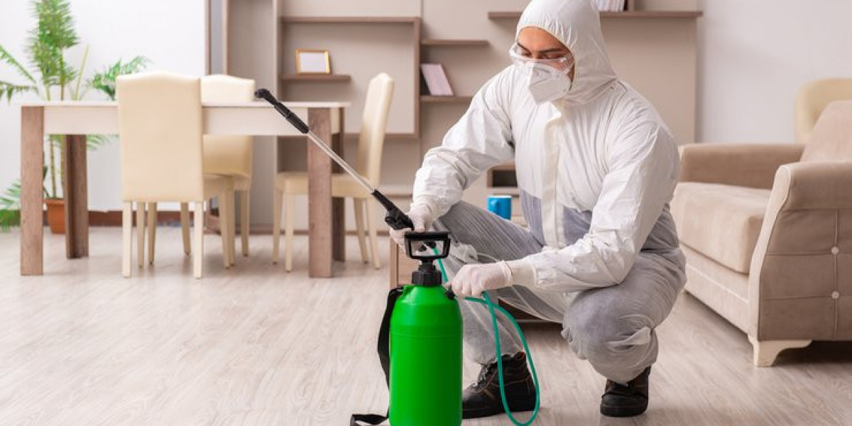 Bed Bug Exoskeleton vs. Live Bed Bugs: Know the Difference