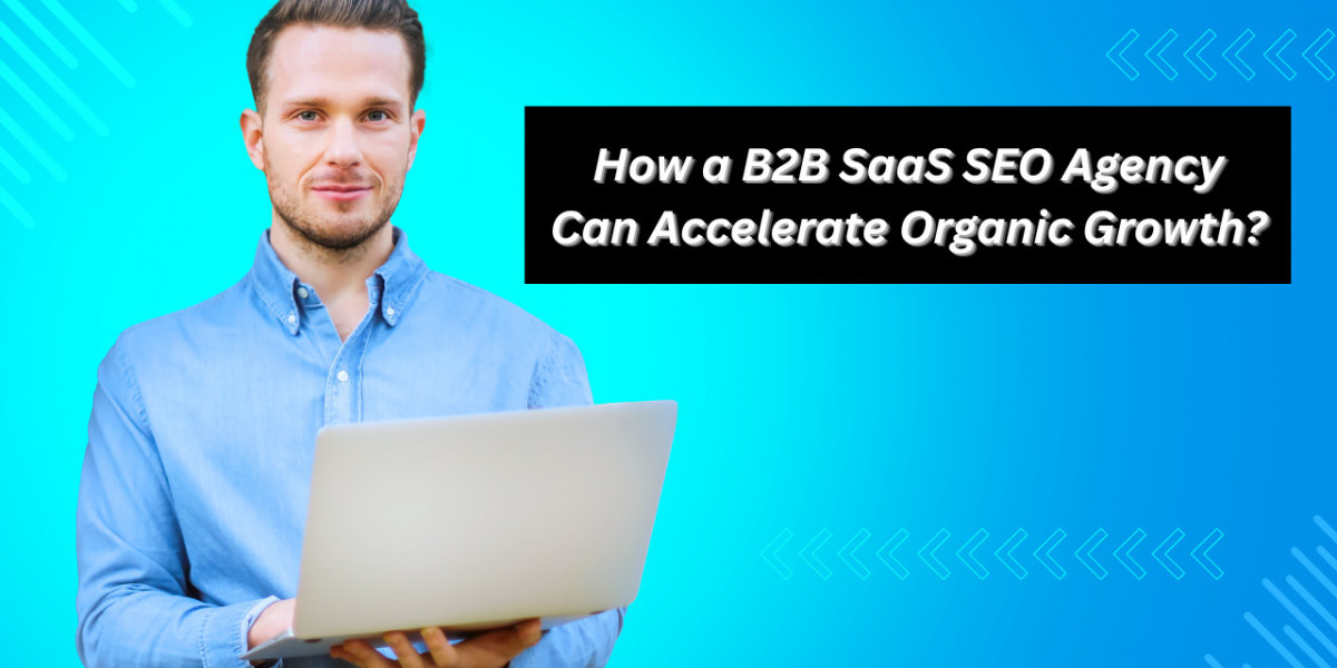How a B2B SaaS SEO Agency Can Accelerate Organic Growth?