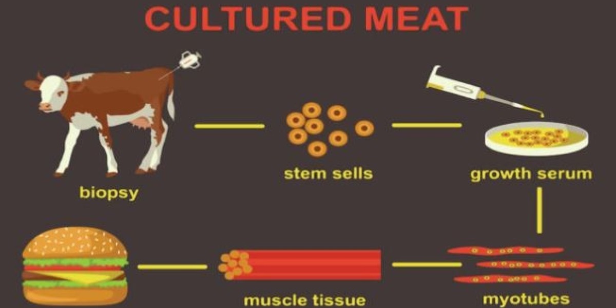 Cultured Meat Market Analysis and Forecast to 2031: Market Opportunities, Trends, and Pricing Analysis