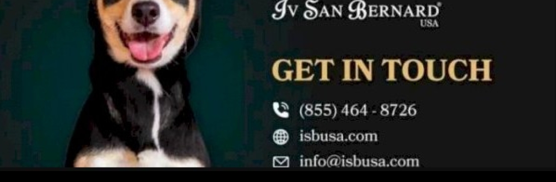 Iv San Bernard USA Cover Image