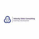 velocity sales Consulting Profile Picture