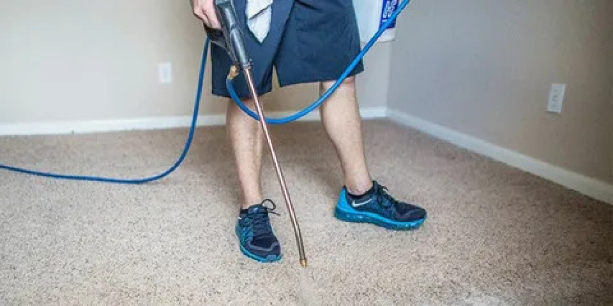 What Are the Most Effective Ways to Remove Odors from Your Home?
