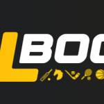 Vlbook Profile Picture