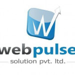 Webpulse Solution Pvt Ltd Profile Picture