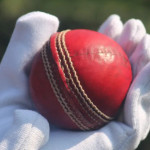 t20 live Profile Picture