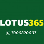 lotus365 basket Profile Picture