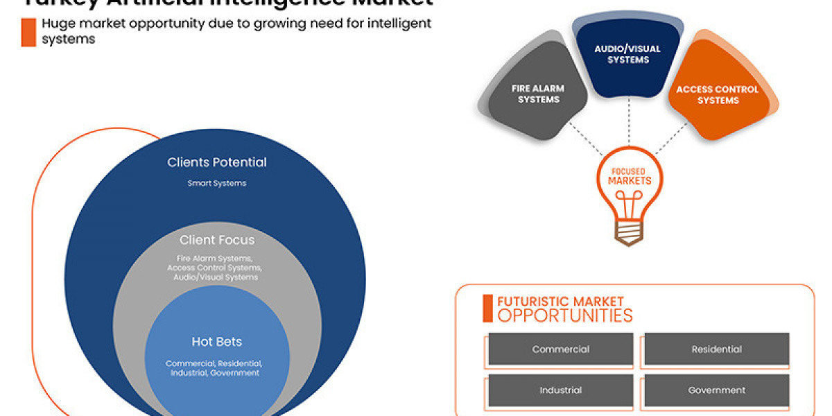 Turkey Artificial Intelligence Market Trends, Tech Ecosystem and Government Initiatives