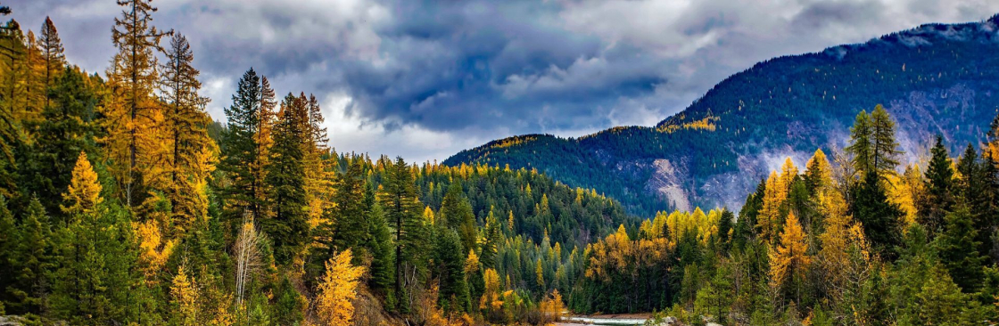 Trip spray Cover Image