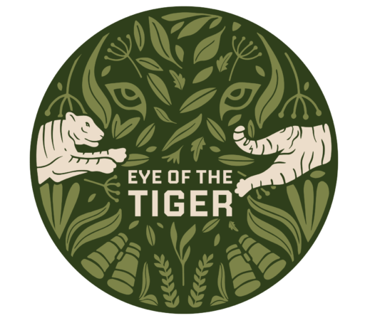 Ranthambore National Park Safari | Tiger Safari in Ranthambore