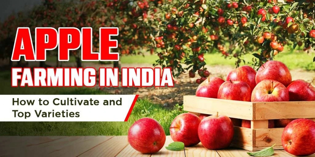 Discover the Varieties of Apples Grown in India