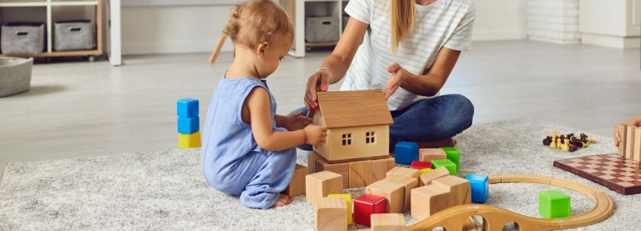 Domestic Solutions Cover Image