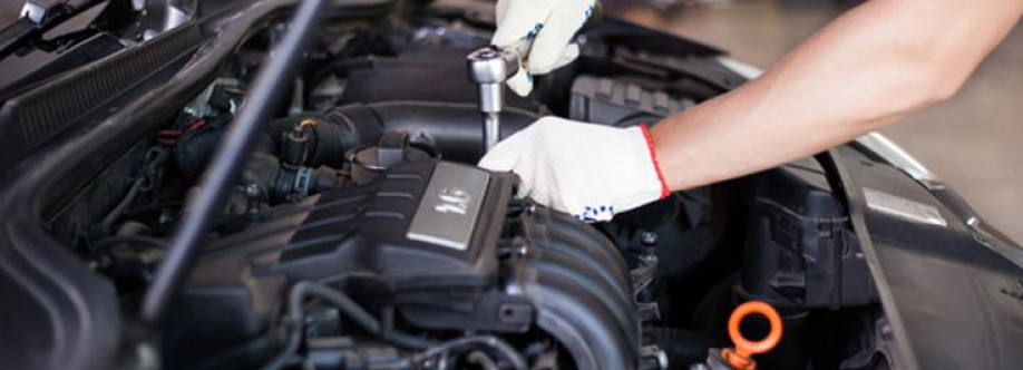 KINGZ KUSTOMZ Cover Image