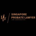 Singapore Probate Lawyer Profile Picture