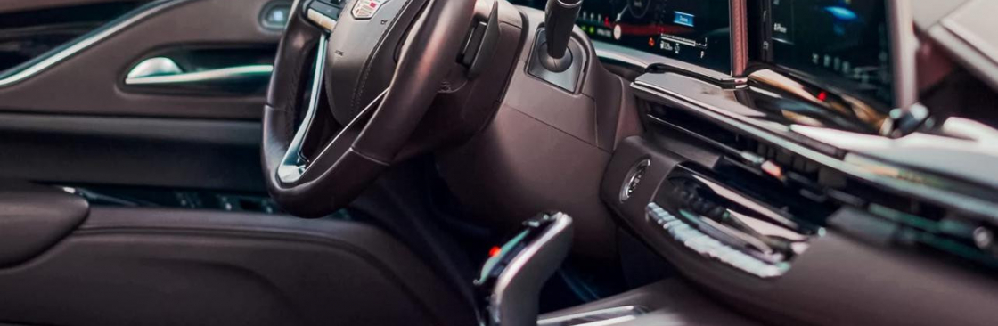 vvip toronto limo Cover Image