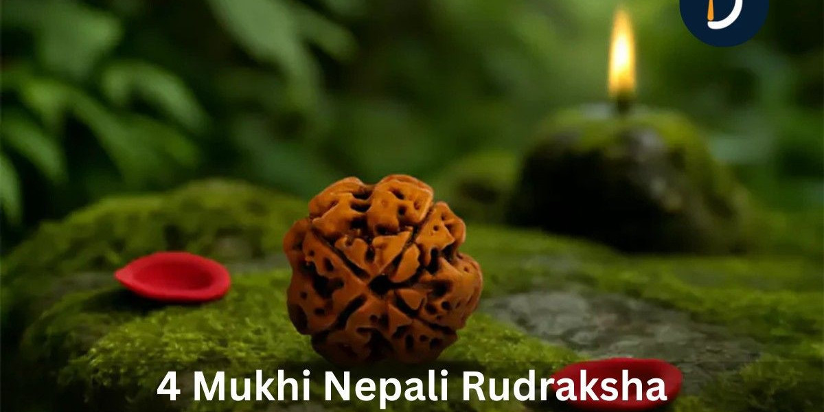 4 Mukhi Nepali Rudraksha For Creativity And Growth
